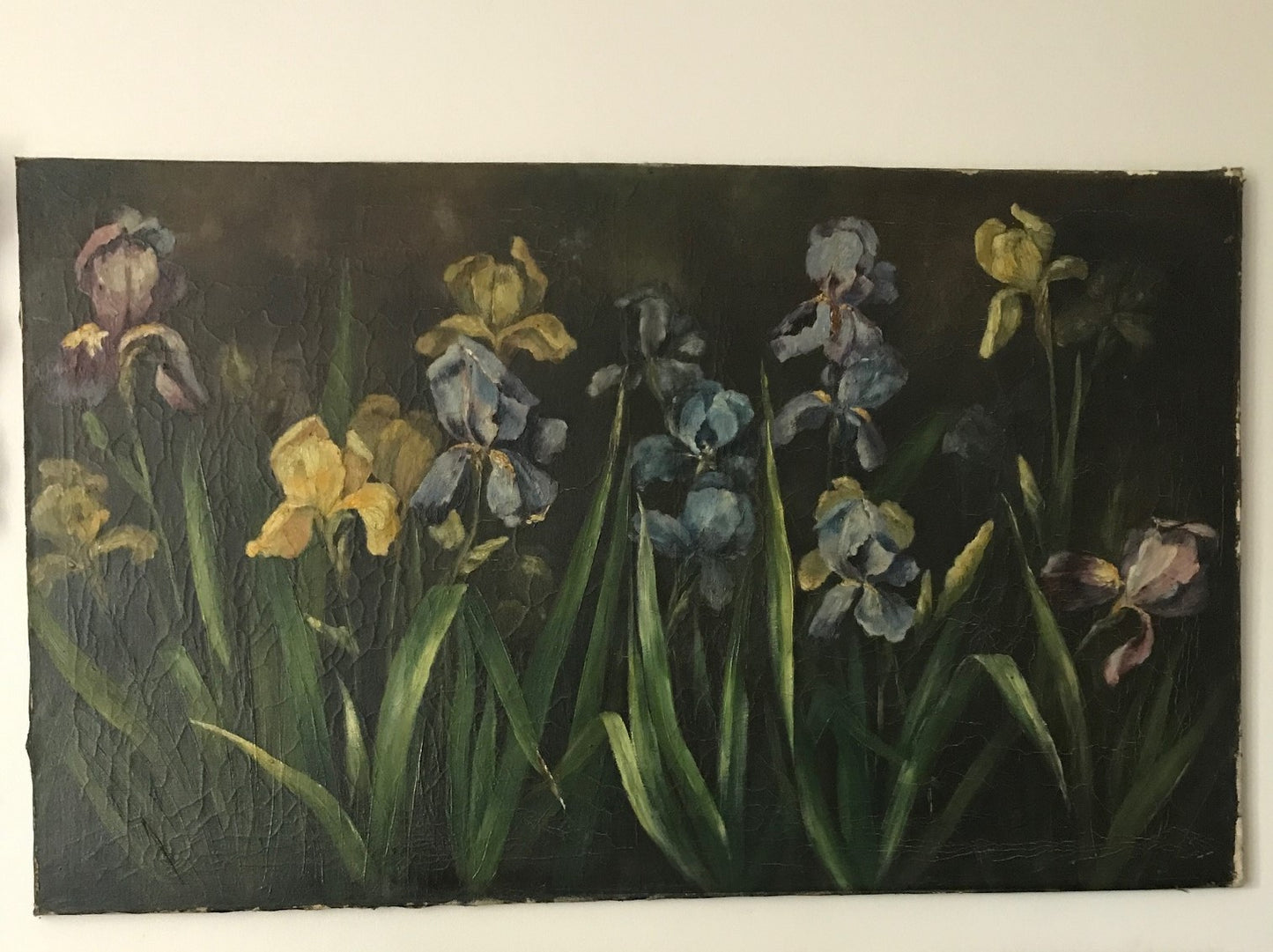 Large Iris Floral Painting - Oil on Canvas