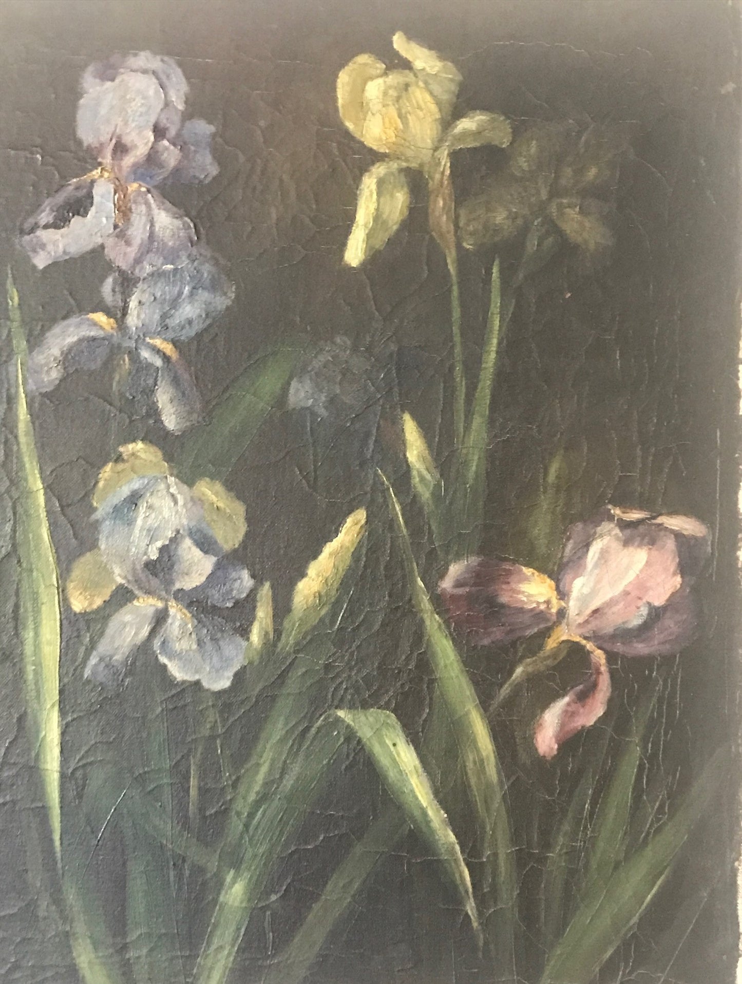 Large Iris Floral Painting - Oil on Canvas