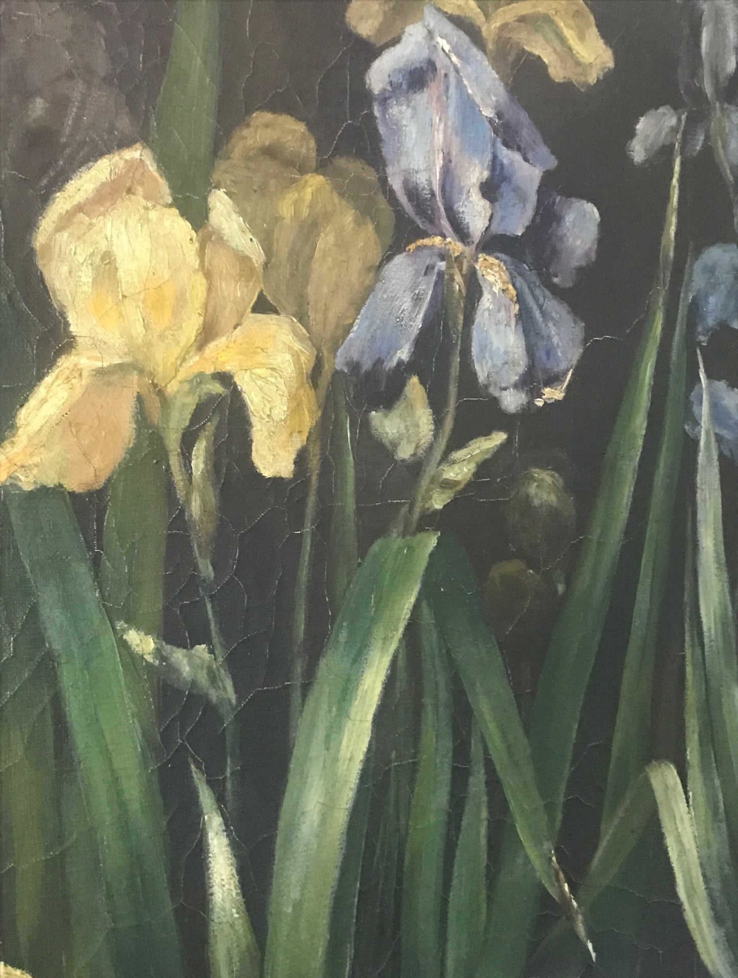 Large Iris Floral Painting - Oil on Canvas