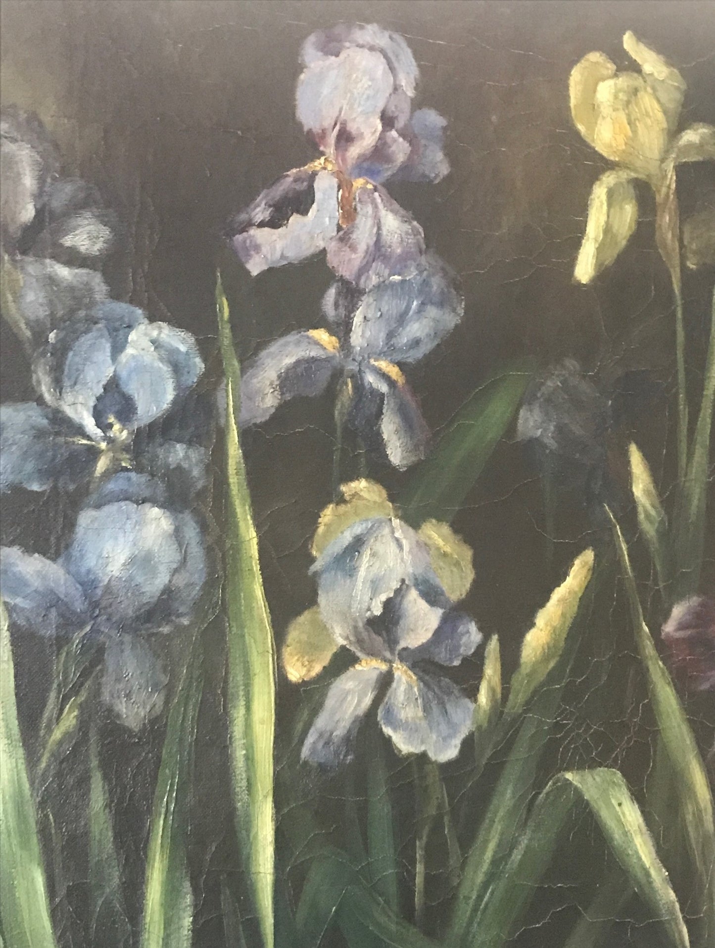 Large Iris Floral Painting - Oil on Canvas